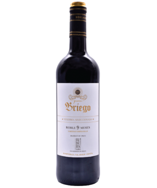 Comprar Briego 9 Meses Vendimia Seleccionada 2023 | Vino Ribera del Duero