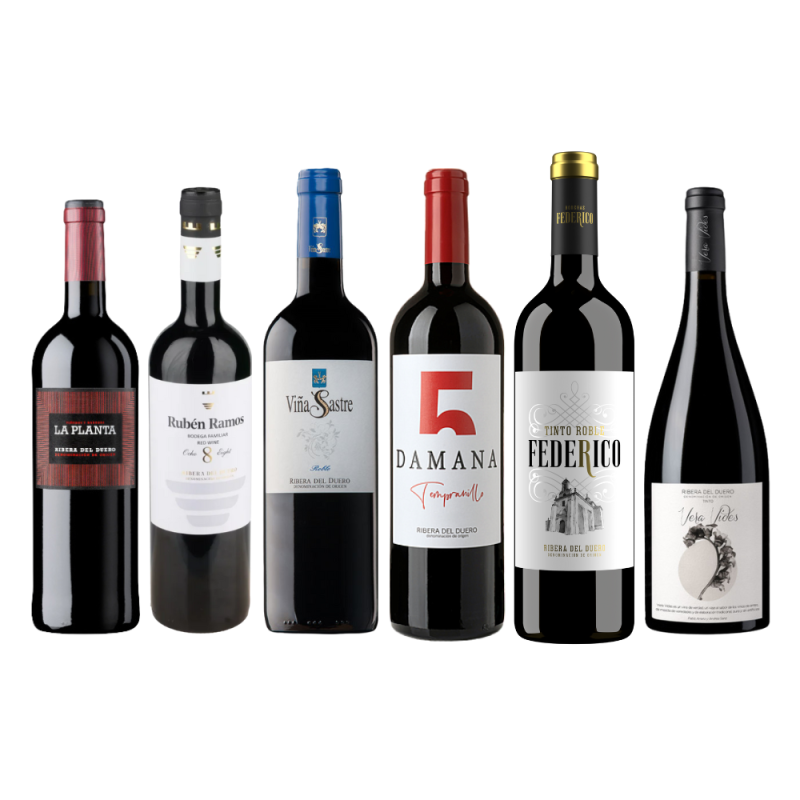 Pack 6 Vinos Ribera del Duero Roble | Arzuaga, Sastre, Damana...