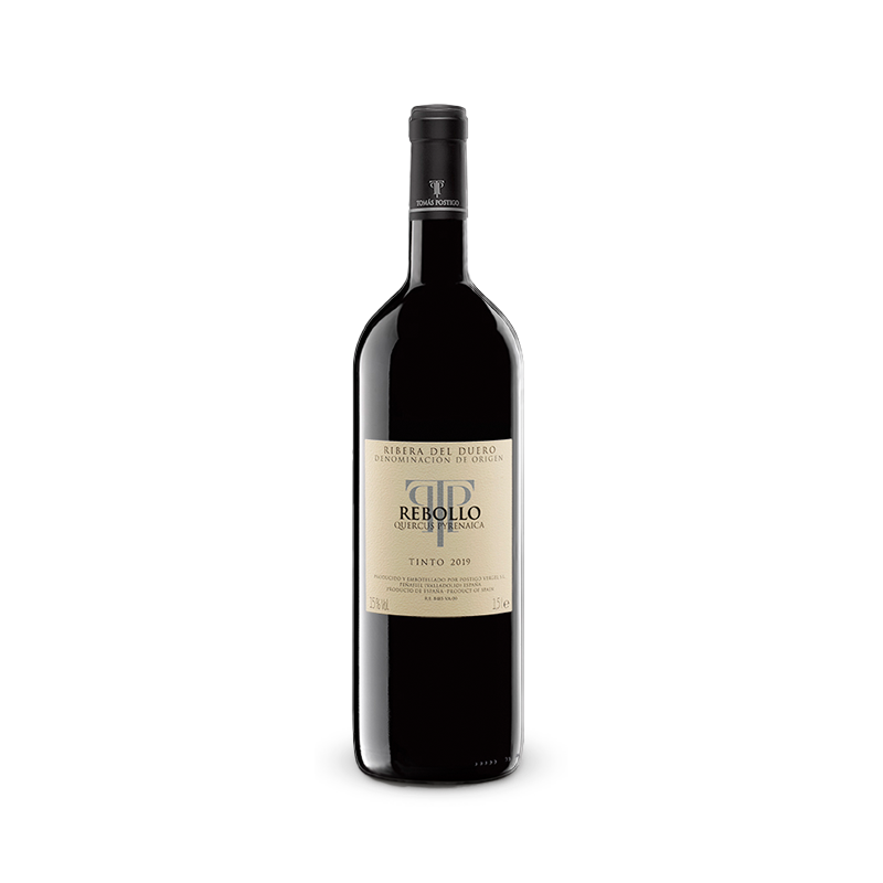 Tomás Postigo Rebollo 2019