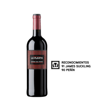 Vino Joven