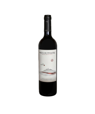 Vino Joven