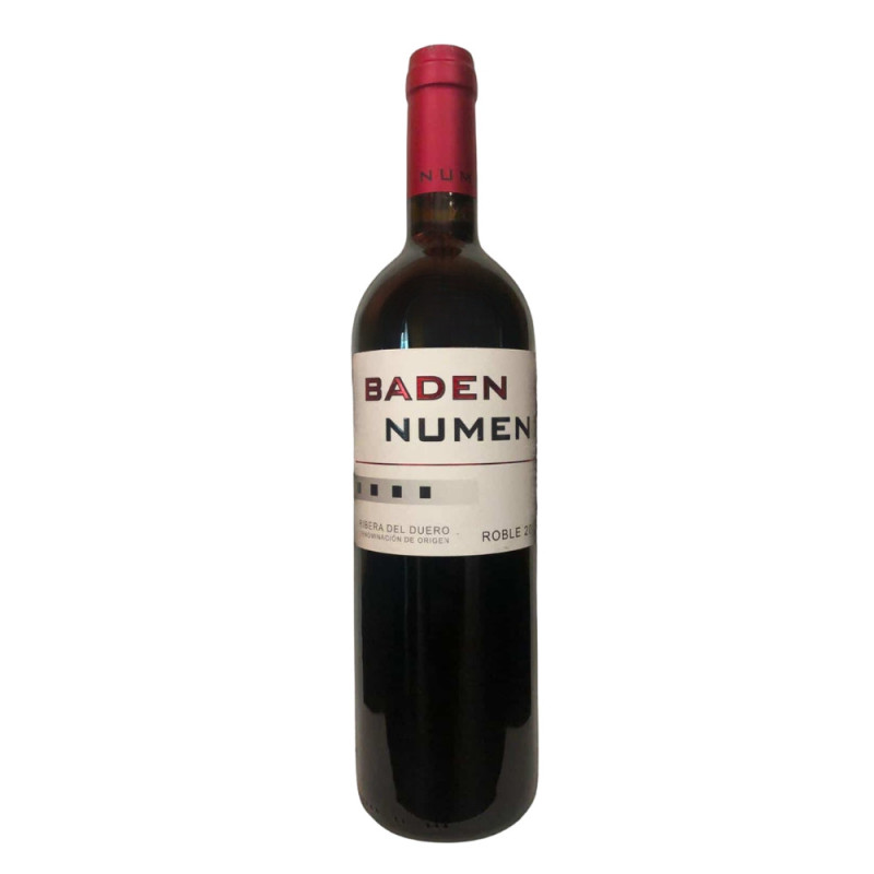 Baden Numen B Roble 2024
