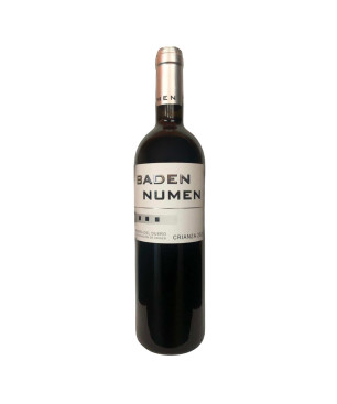 Baden Numen Crianza 2022 | Comprar Vino Tinto Ribera del Duero