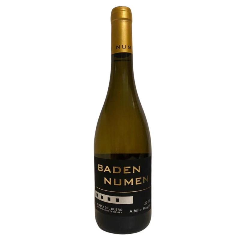 Baden Numen Albillo Mayor 2023