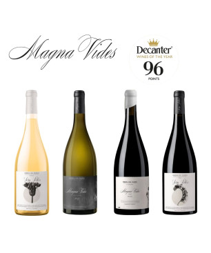 Cata Exclusiva Magna Vides con Andrea Sanz | Único Vino