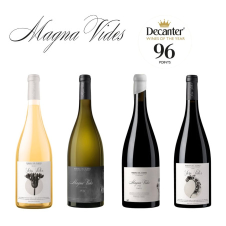 Cata Exclusiva Magna Vides con Andrea Sanz | Único Vino