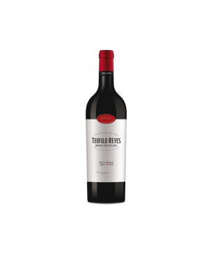 Teófilo Reyes Reserva 2021 | Vino Ribera del Duero