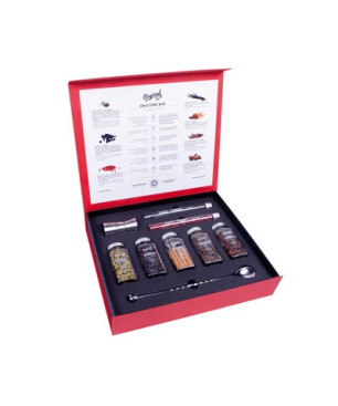Comprar Gin & Tonic Box Premium | Kit Alta Gama Coctelería