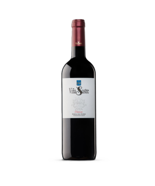 Viña Sastre Crianza 2023 | Tinto Ribera del Duero