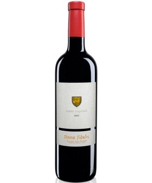 Comprar Pinna Fidelis Roble Español | Tinto D.O. Ribera del Duero